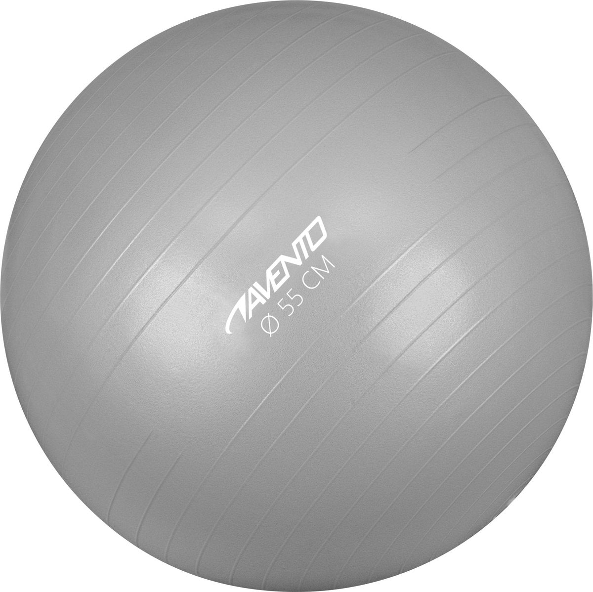 Avento fitness/gymbal - ø 55cm - zilver